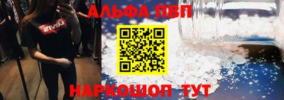 стаф Донской